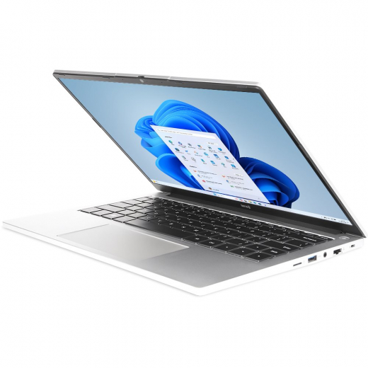 TERRA MOBILE 1410R i5-1334U W11 (1220862)