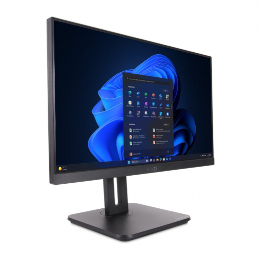 TERRA ALL-IN-ONE-PC 2420HA V2 GREENLINE (1000175)